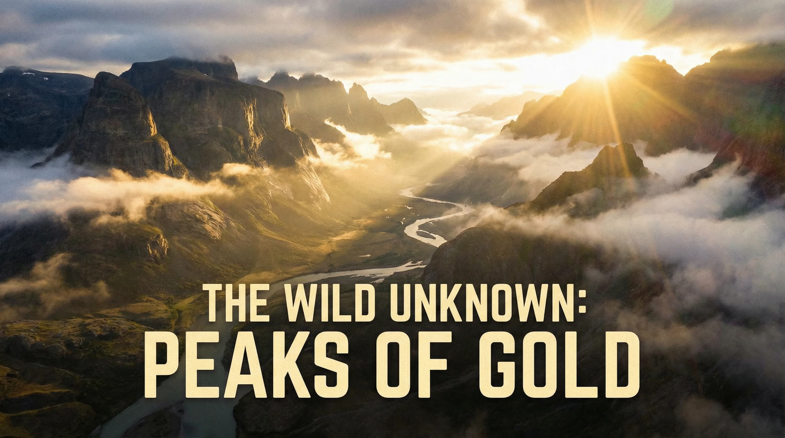 蜜芽自然纪录片